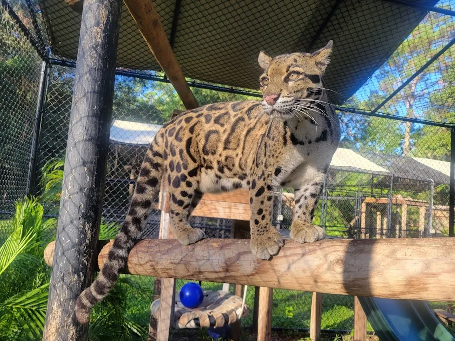 Annapolis Historic District