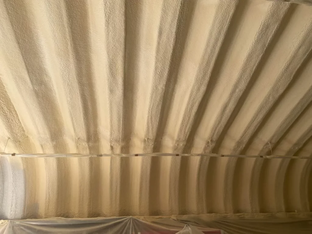 Wellingtons Climate Demands More Than Basic Protection