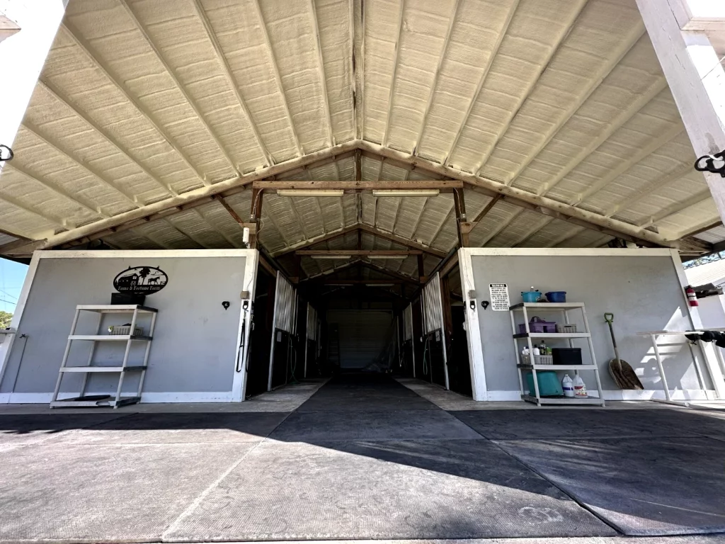 How Insulation Actually Reduces Energy Costs