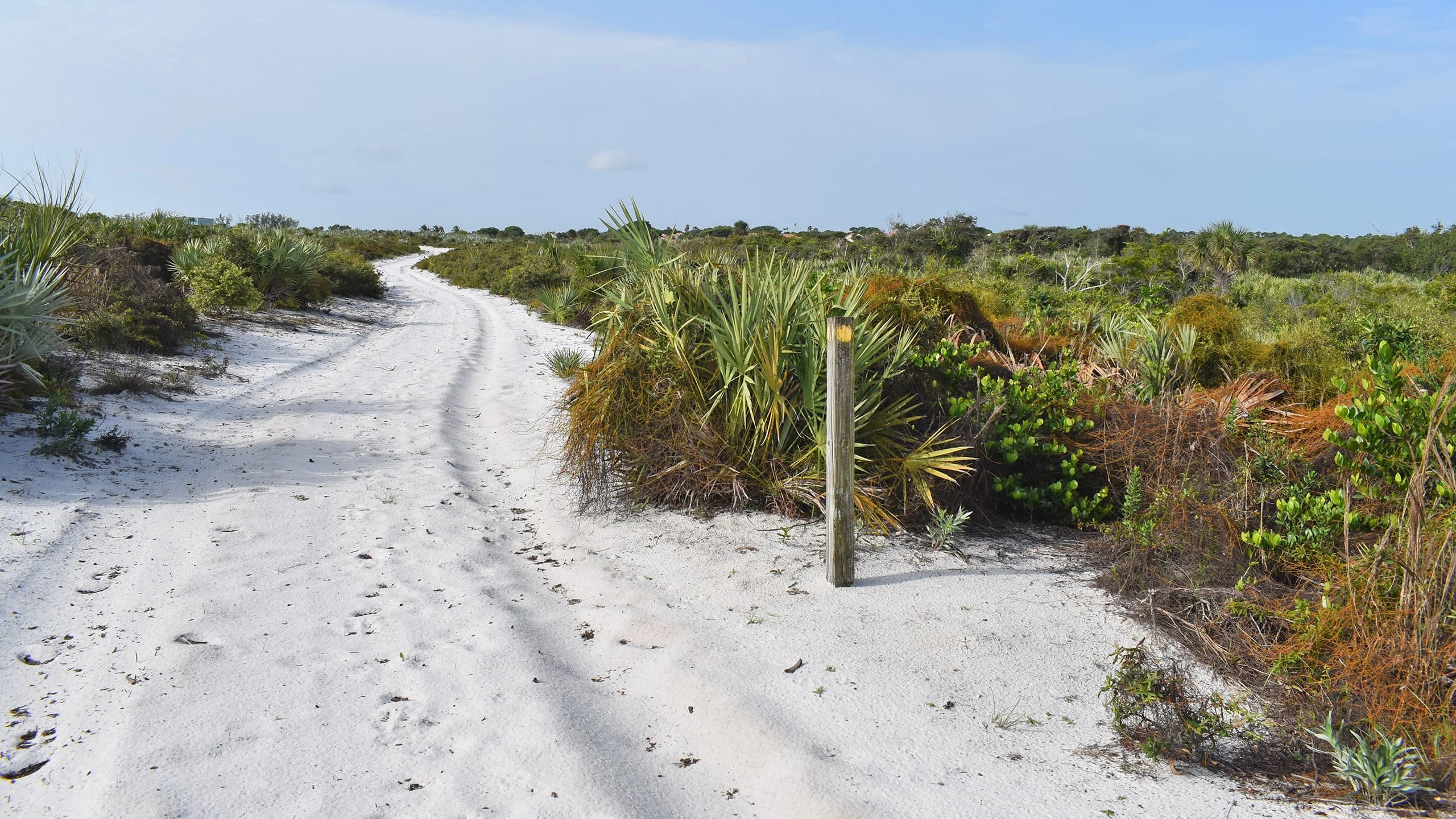 Juno Dunes Natural Area