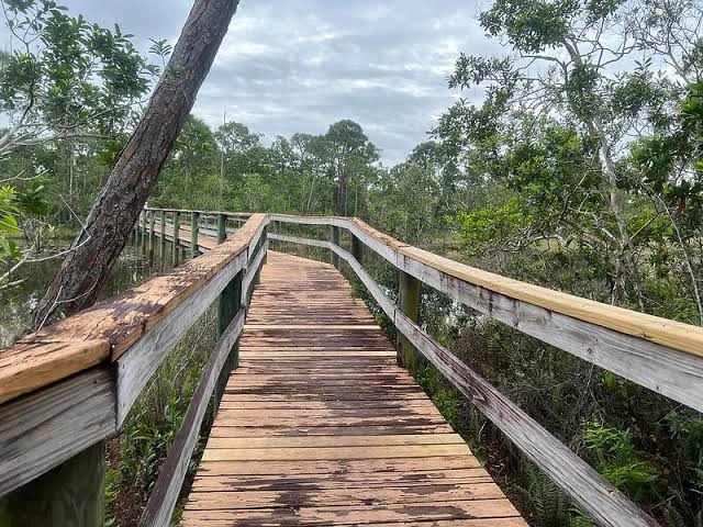 Spruce Bluff Preserve