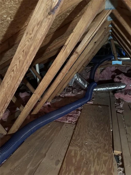 Insulation Removal Explained: Process, Costs, and What to Expect