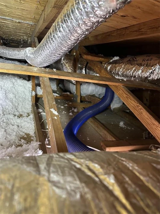 Insulation Removal Explained: Process, Costs, and What to Expect