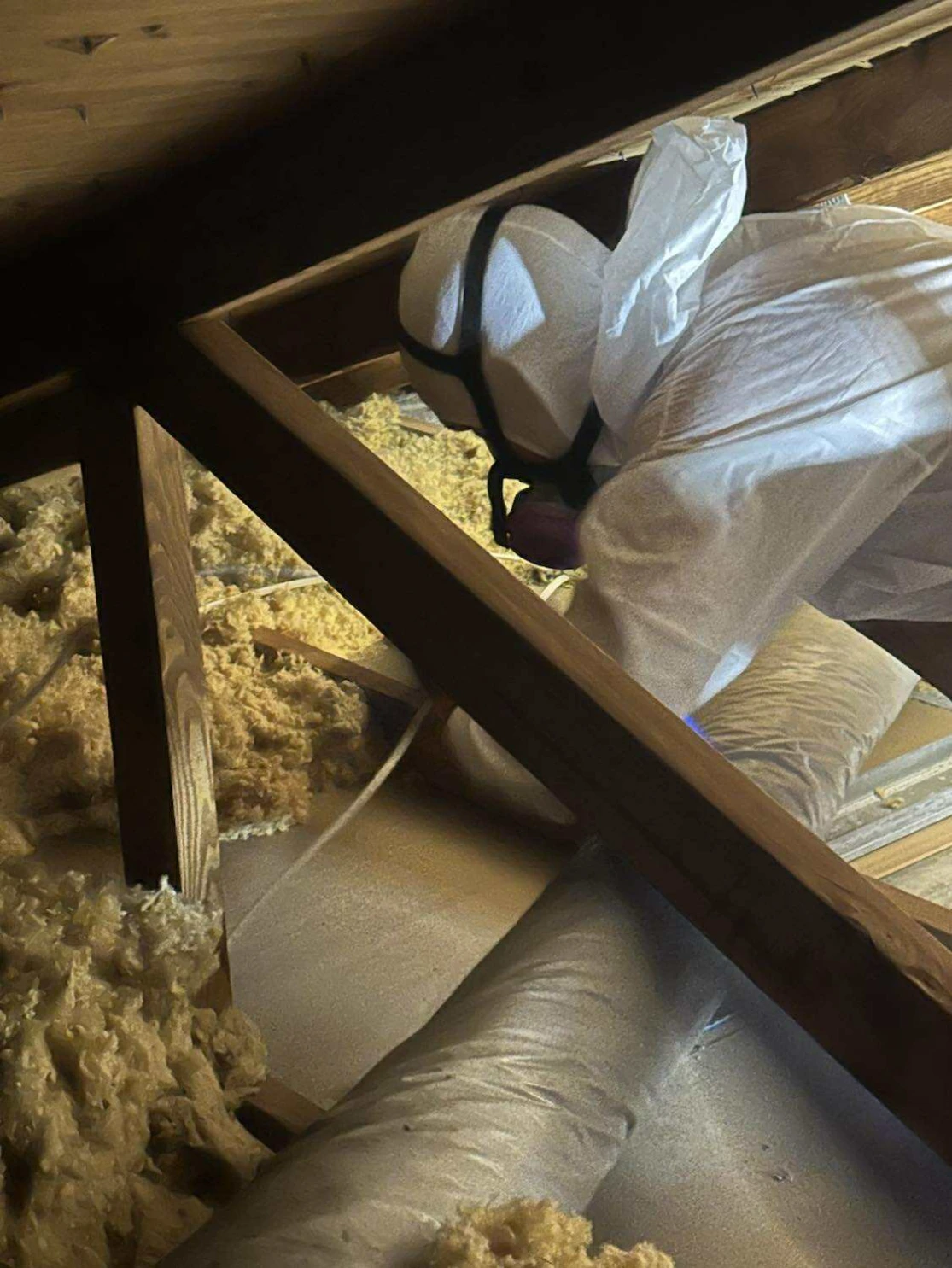 Professional Insulation Removal Services in Wellington FL