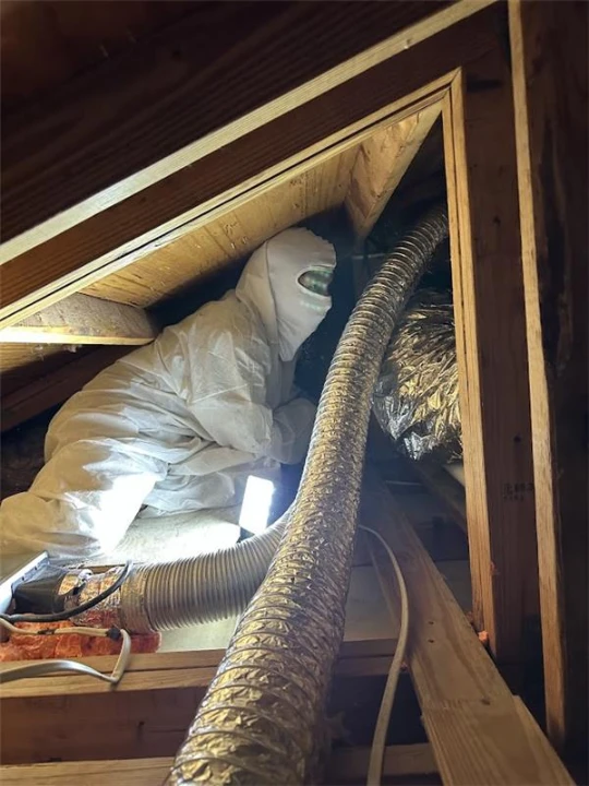 Why Are Jupiter, FL Homeowners Removing Old Insulation Before It Causes Serious Moisture and Mold Problems?