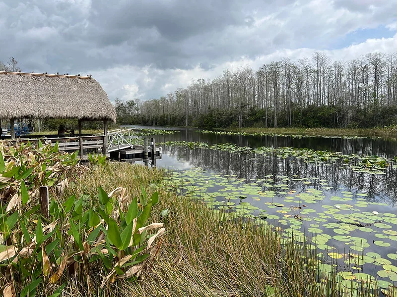 Grassy Waters Preserve