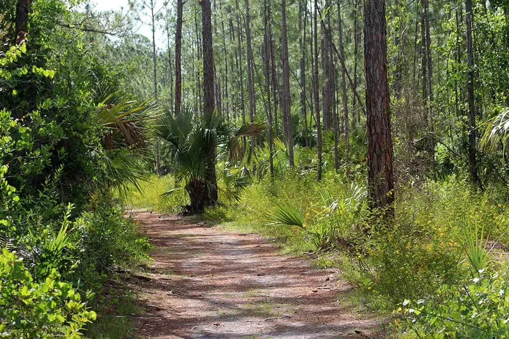 Halpatiokee Regional Park