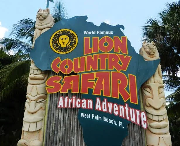 Lion Country Safari